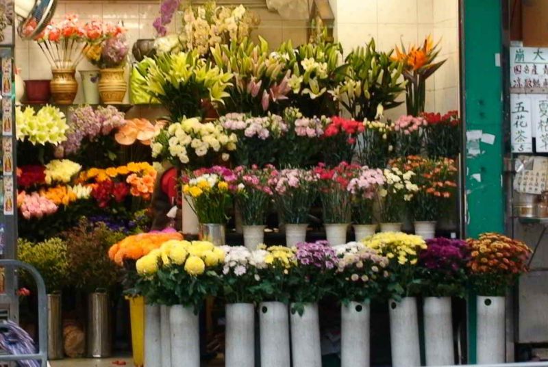 Cửa hàng hoa tươi Mẫu Đơn Hội An