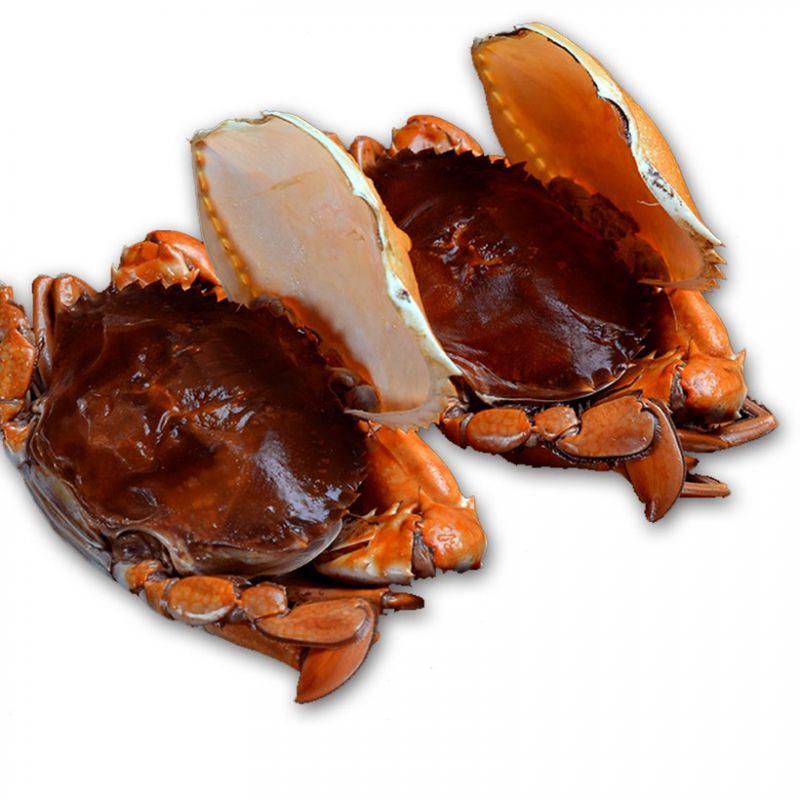 Hải sản Rạn Biển