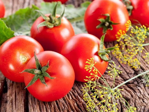Không nên ăn cà chua lúc đang đói Đặc biệt là cà chua có hạt màu xanh – rất độc