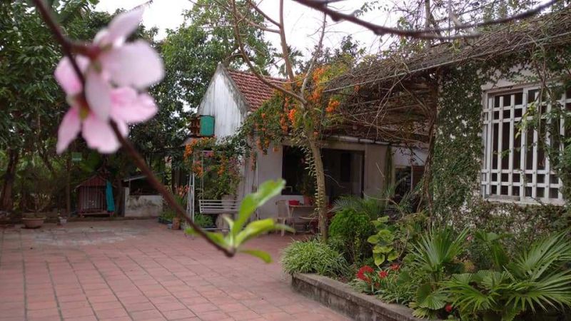 NamDinh Farm & Homestay