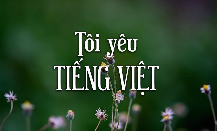 Nghị luận về Giữ gìn sự trong sáng của tiếng Việt bài số 1