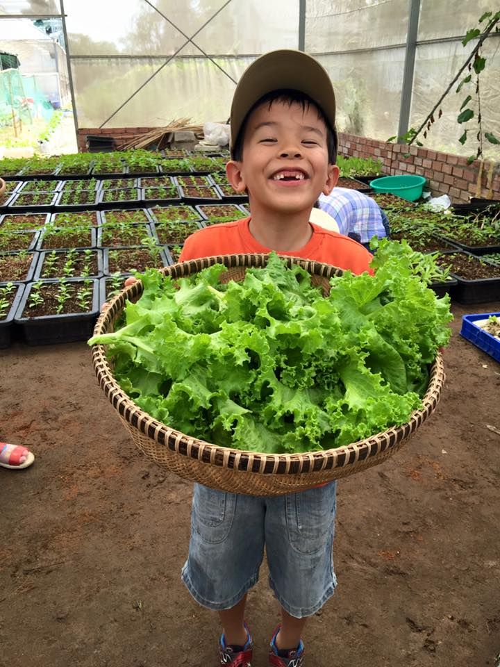 Nông Trại Cánh Cam