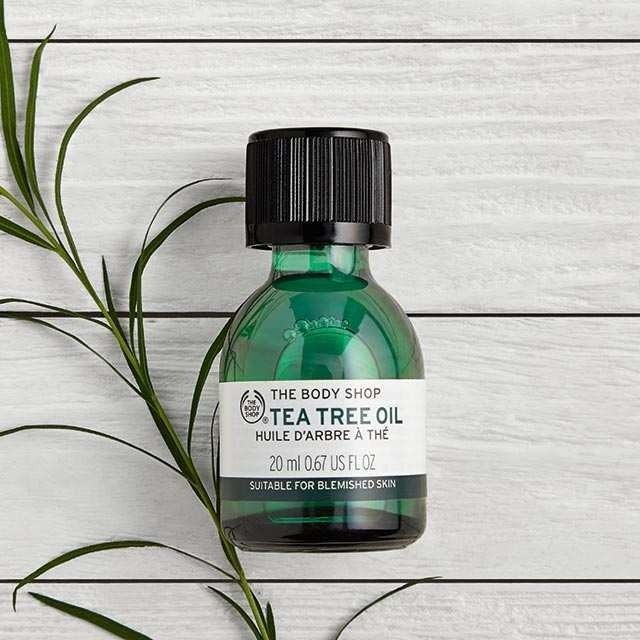 Tinh dầu tràm trà Tea Tree Oil của The Body Shop