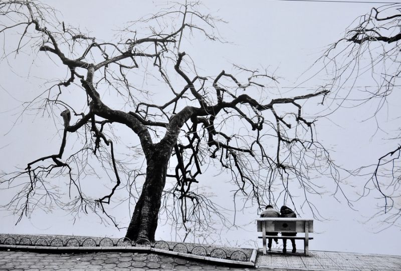 VỀ ĐONG NHỮNG HẠT SƯƠNG