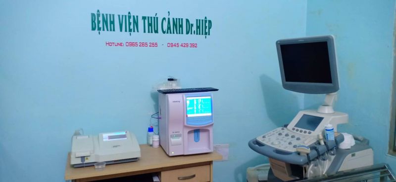 Bệnh Viện Thú Y SVET Quảng Ninh - Dr Hiệp