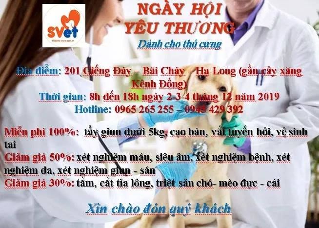 Bệnh Viện Thú Y SVET Quảng Ninh - Dr Hiệp