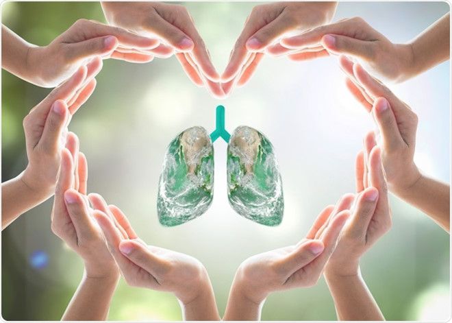 Cách giúp bạn phòng ngừa ung thư phổi