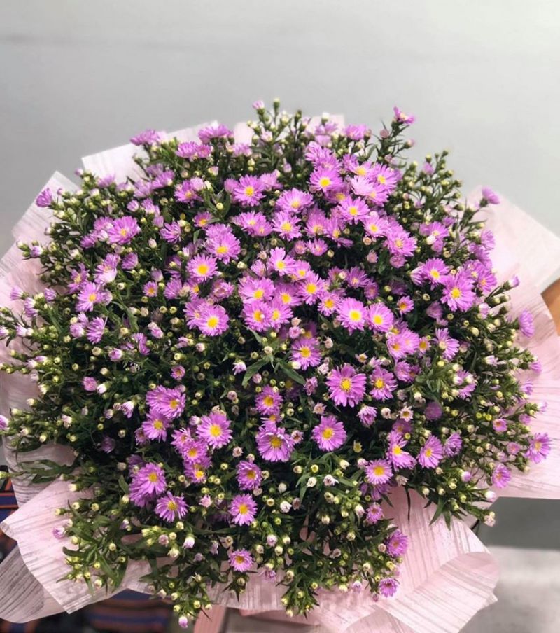 Clover Flower Shop - Hoa tươi Cỏ Ba Lá