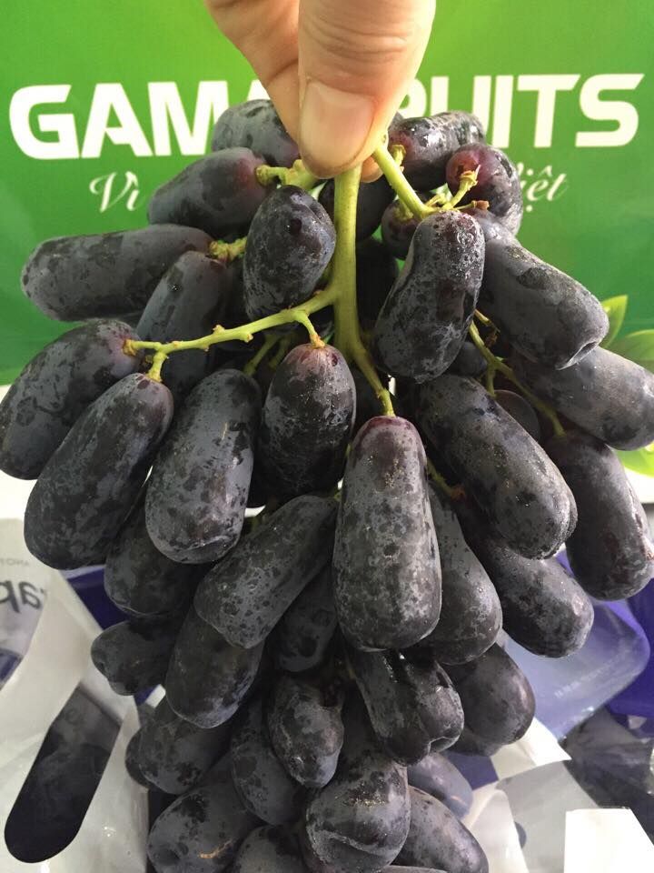 Gama Fruits
