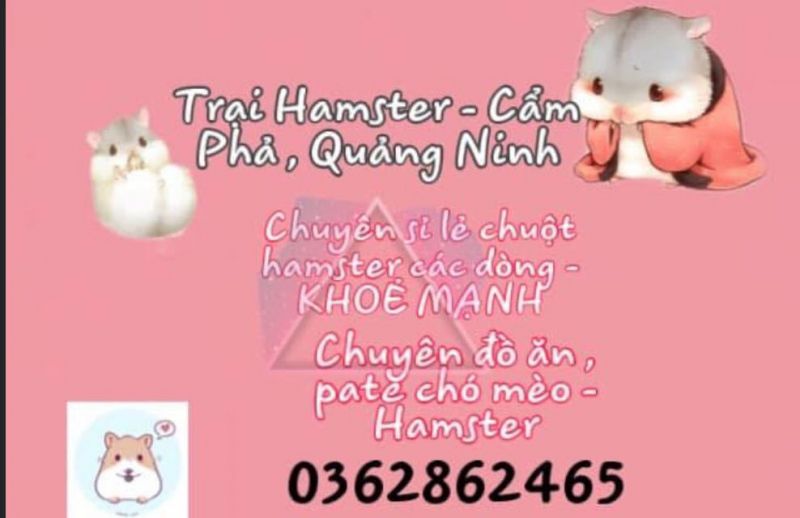 Hamster - Cẩm Phả, Quảng Ninh