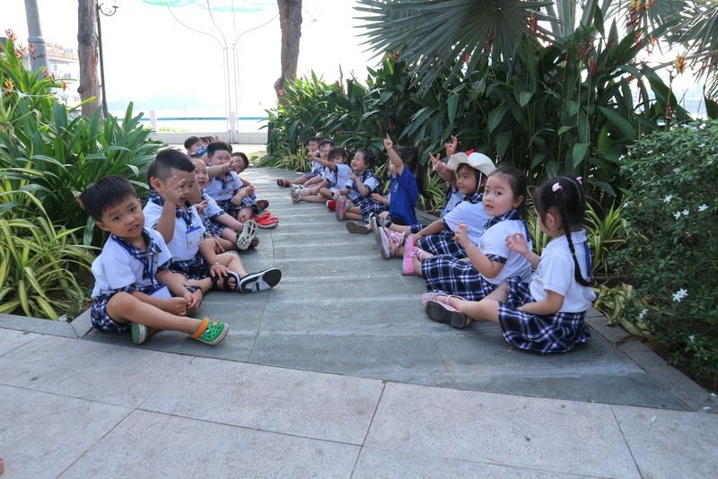 Hệ thống giáo dục Thái Bình Dương - Trường Mầm non Thái Bình Dương
