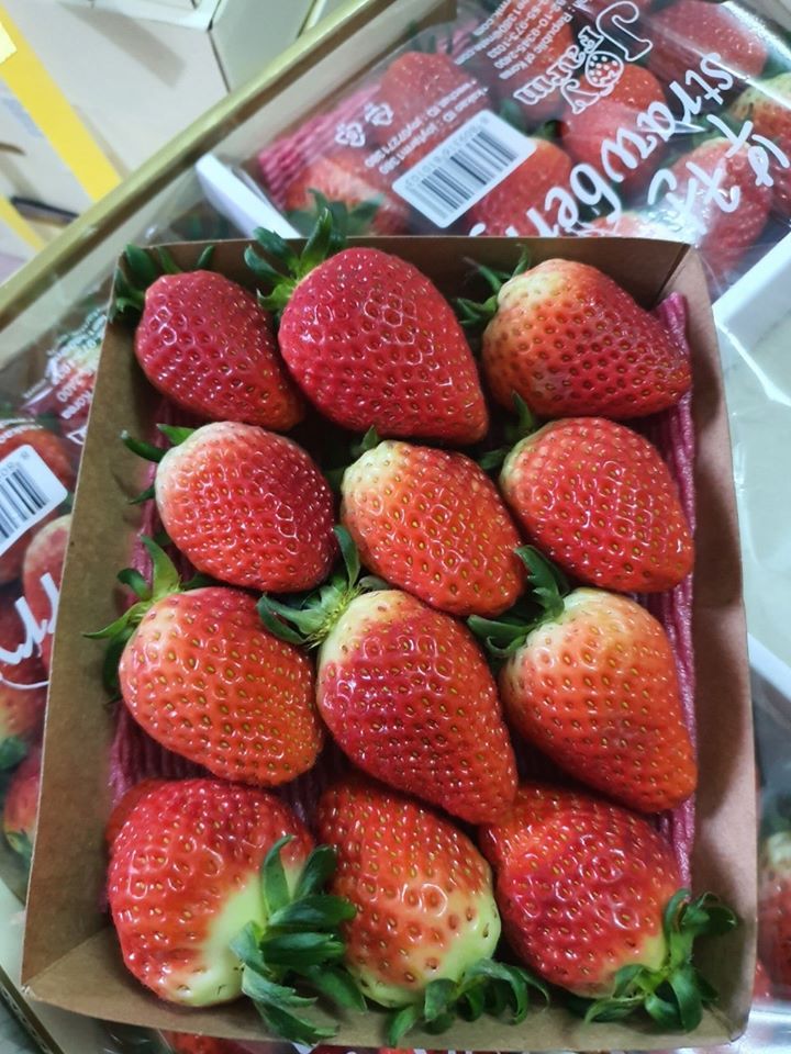 Shop Trái cây nhập khẩu - Eco Fruits Phú Nhuận Shop Trái cây nhập khẩu - Eco Fruits Phú Nhuận