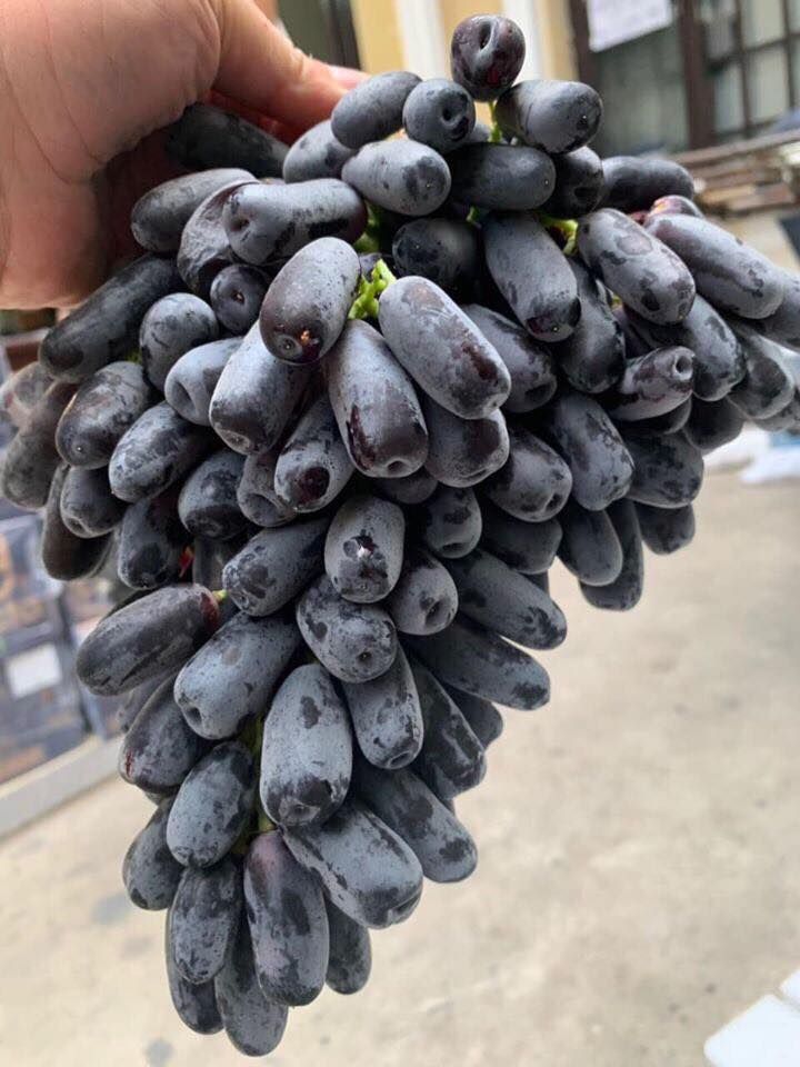 Trái cây nhập khẩu - Biên Hòa Fruits