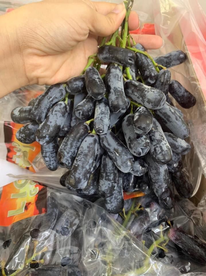 Trái cây nhập khẩu Biên Hoà Windy Fruits