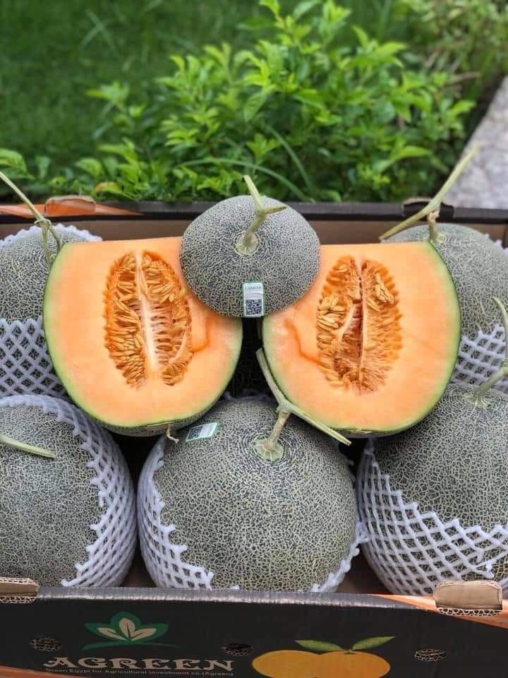 Trái cây nhập khẩu DP Fruits Thái Nguyên