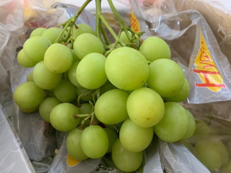 Trái cây nhập khẩu - Daily Fruits