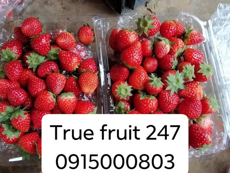 Trái cây sạch truefruit247