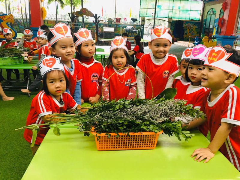 Trường Mầm Non Hoa Trạng Nguyên Trường Mầm Non Hoa Trạng Nguyên