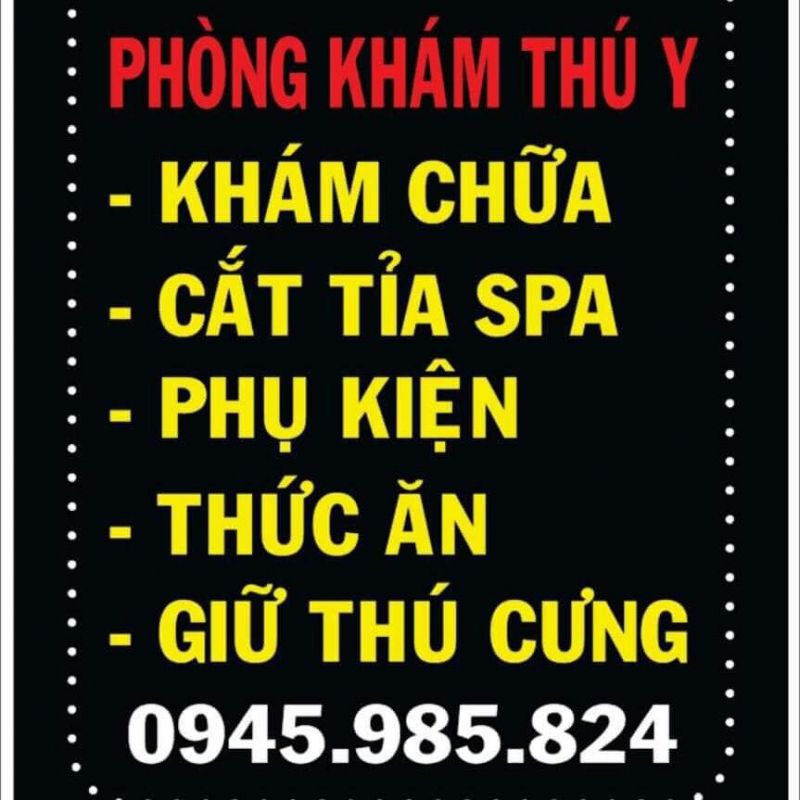 KiKi Pet Shop-Thú Cưng Nha Trang