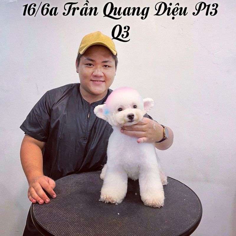 Pet Service - spa and grooming
