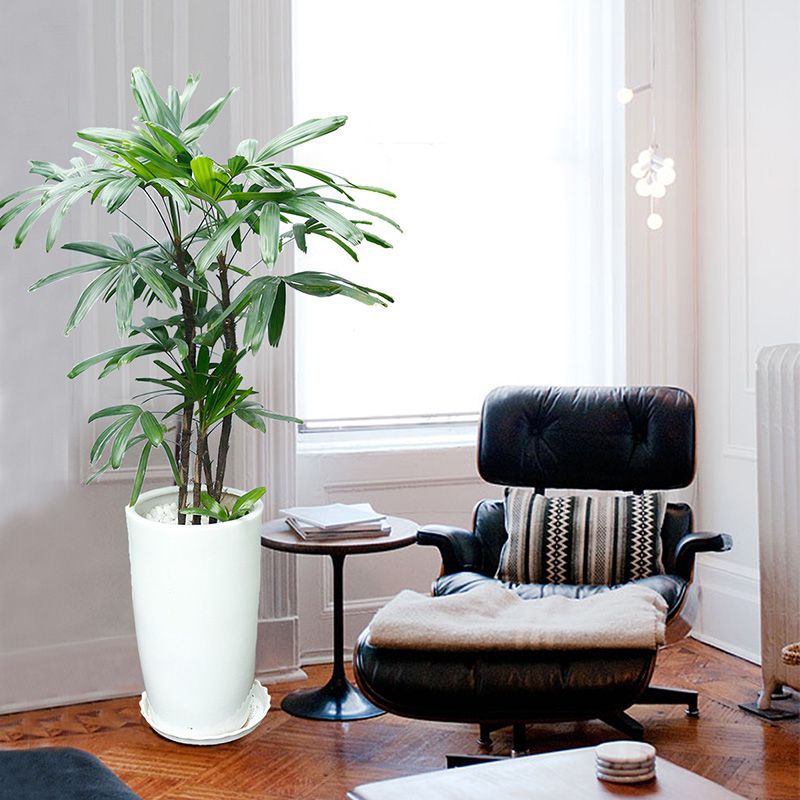 Hoàng Nguyên Green - Kiến Tạo Không Gian Xanh