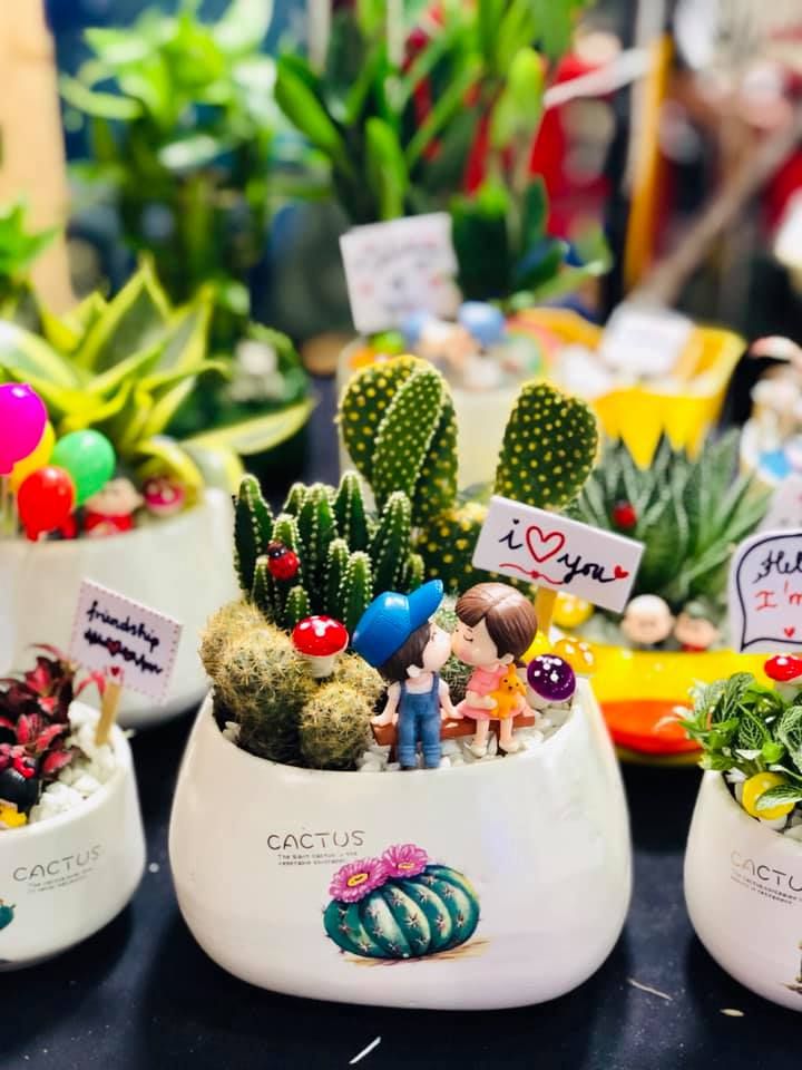 Sen đá – P&P Garden