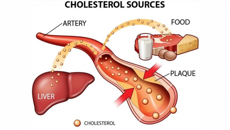 Giảm lượng cholesterol và đường trong máu