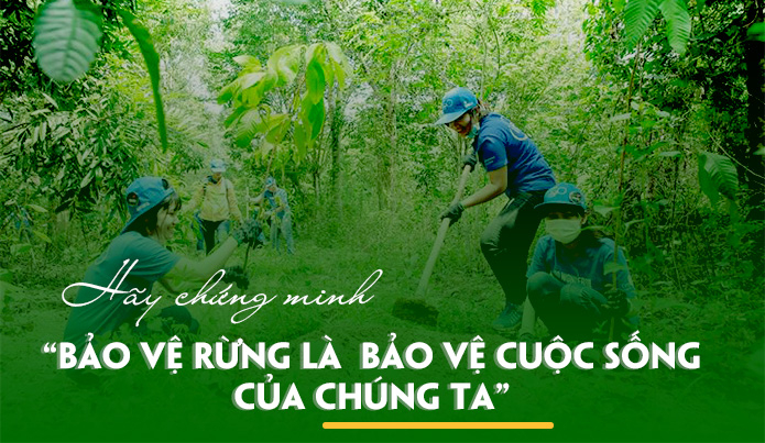 Bài văn chứng minh rằng bảo vệ rừng là bảo vệ cuộc sống của chúng ta số 4