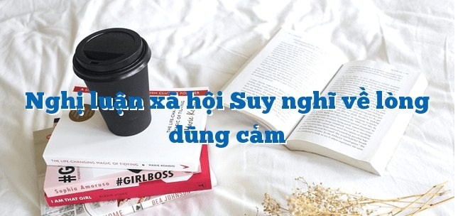 Bài văn nghị luận xã hội về lòng dũng cảm số 11