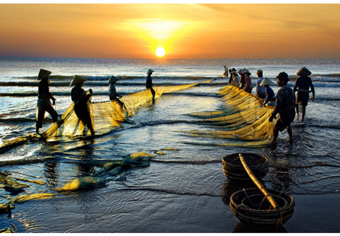 Bài tham khảo số 1