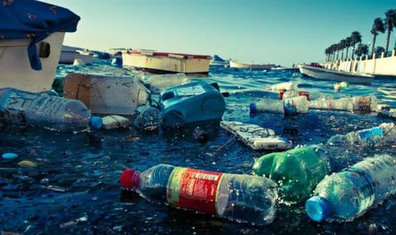 Bài văn nghị luận về vấn đề rác thải nhựa số 8