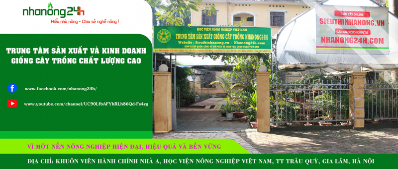 Công ty Cổ phần Hệ sinh thái Công nghệ Việt Nam (NHANONG24H)