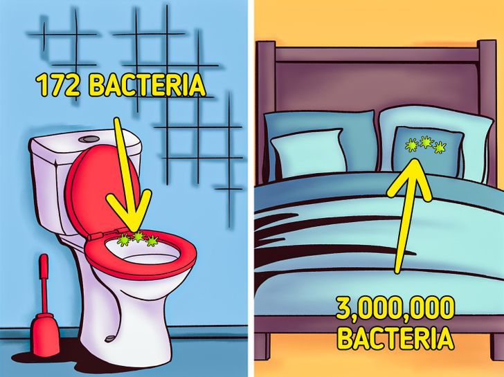 Chiếc giường là nơi ẩn núp của vi khuẩn