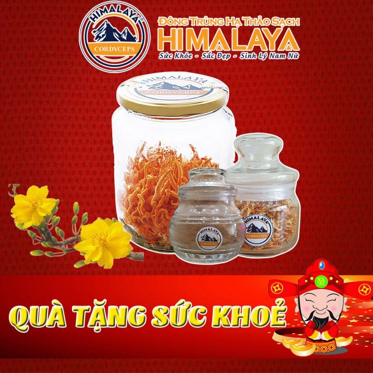 Đông Trùng Hạ Thảo Himalaya