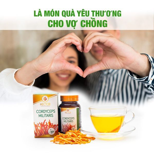 Đông trùng hạ thảo Hector