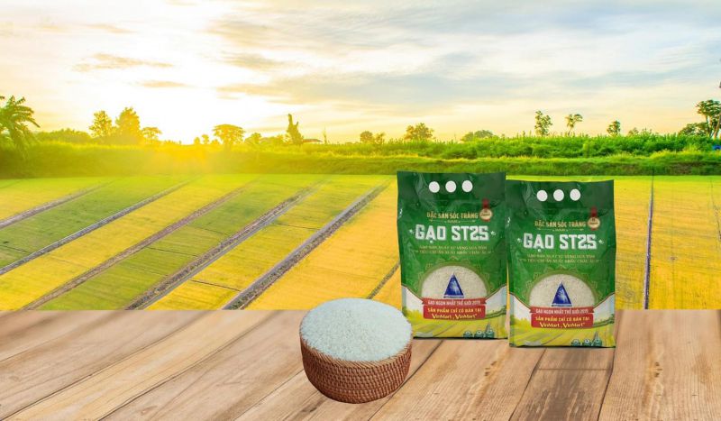 Gạo Sạch Vinaseed - Tại TP Vinh