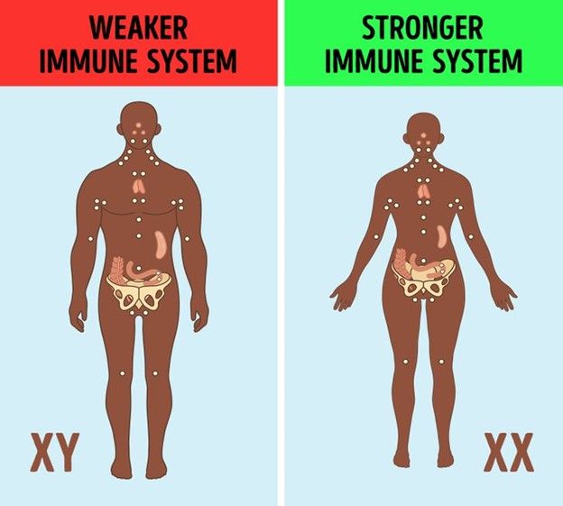 Nhiễm sắc thể X là 1 phần của hệ thống miễn dịch tốt