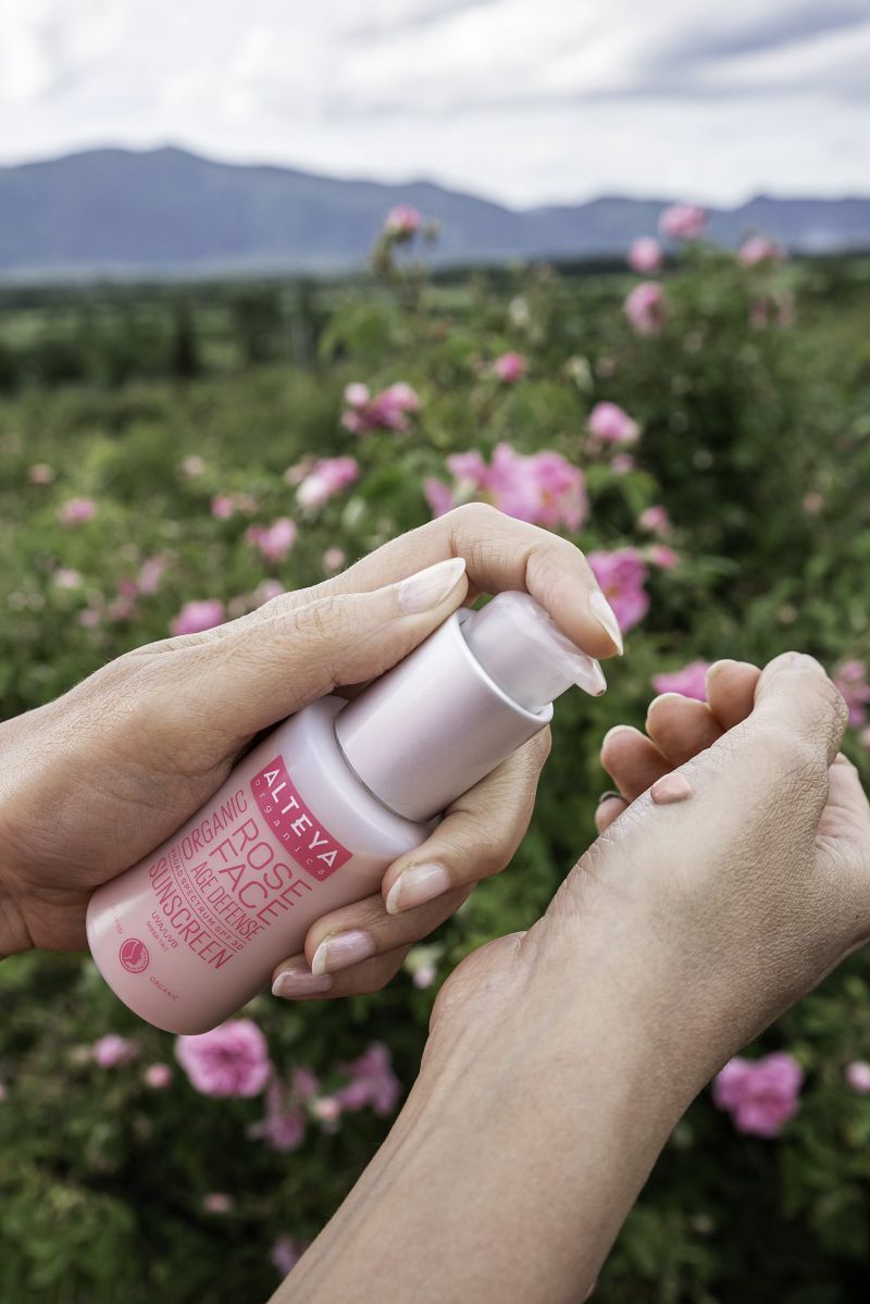 Organic Sunscreen Rose Face Cream