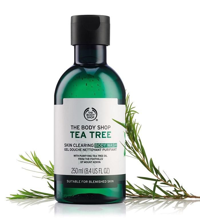 Sữa Tắm Tee Tree The Body Shop