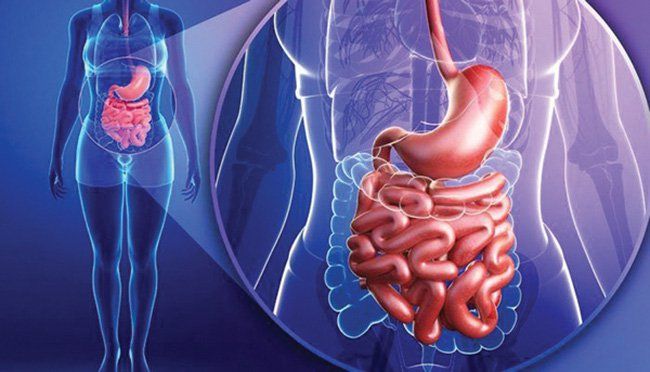 Bệnh dạ dày phì đại (Bệnh Ménétrier) Bệnh dạ dày phì đại (Bệnh Ménétrier)