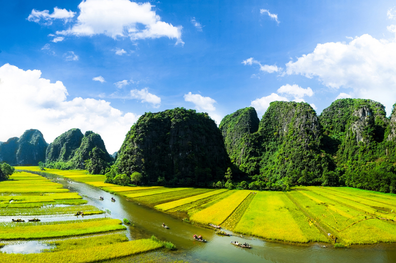 Công ty Dịch vụ Lữ hành Saigontourist