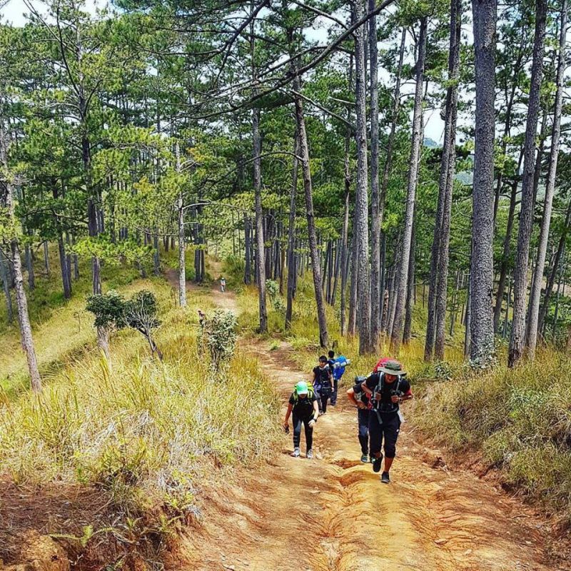 Cung đường trekking Bidoup