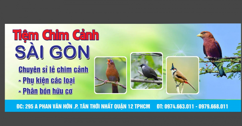 Tiệm chim cảnh Sài Gòn