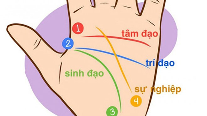 Tìm Hiểu Tính Cách Con Người Qua Bàn Tay