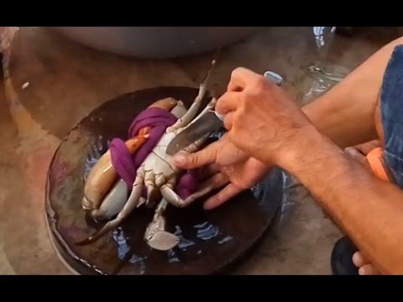 Cách sơ chế cua biển trước khi chế biến món ăn