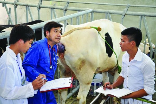 Cao đẳng Nông nghiệp và phát triển Nông nghiệp Bắc Bộ