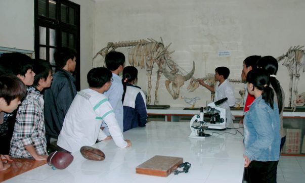 Đại học Lâm Nghiệp