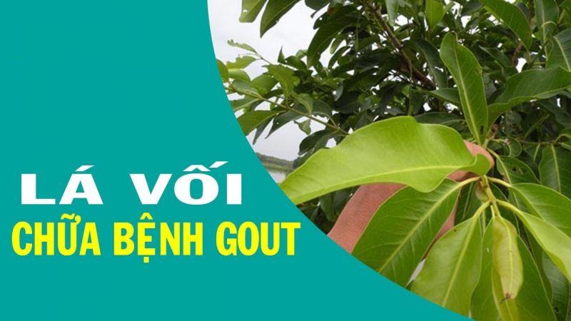 Điều trị gout