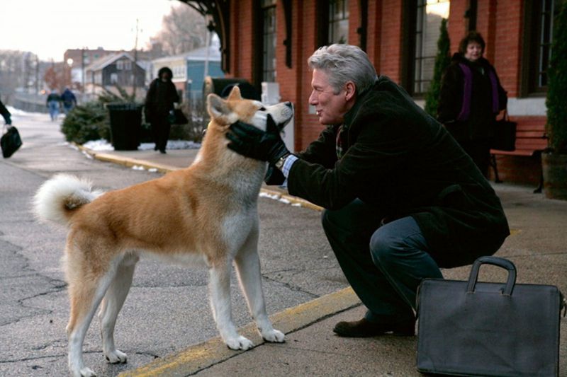 Hachiko: Chú Chó Trung Thành - Hachiko: A Dog's Tale 2009