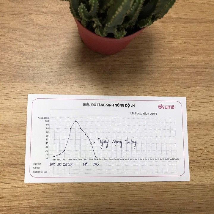 Que thử rụng trứng OvumB